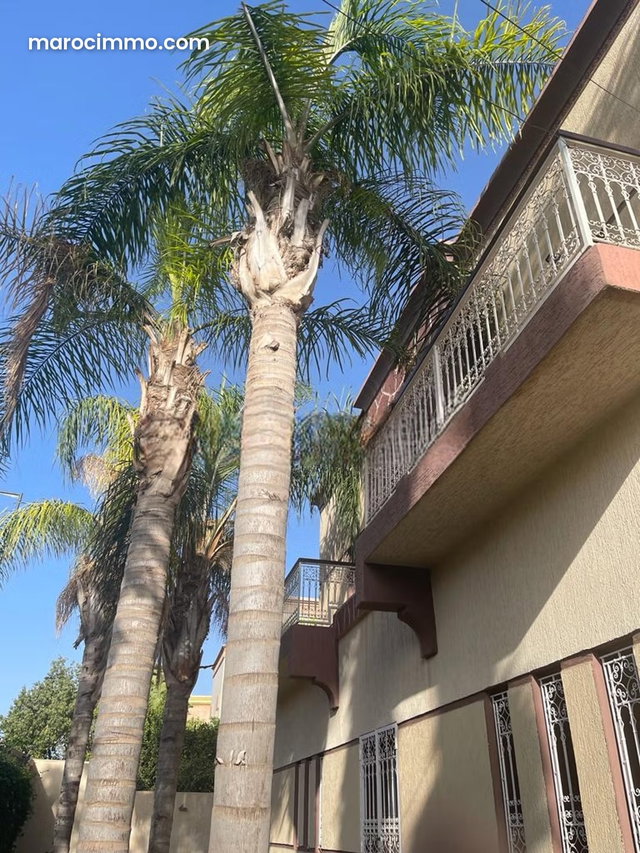 Luxury House for Sale in Hay Targa. 4 Bedrooms. Pool, Air Conditioning — 2