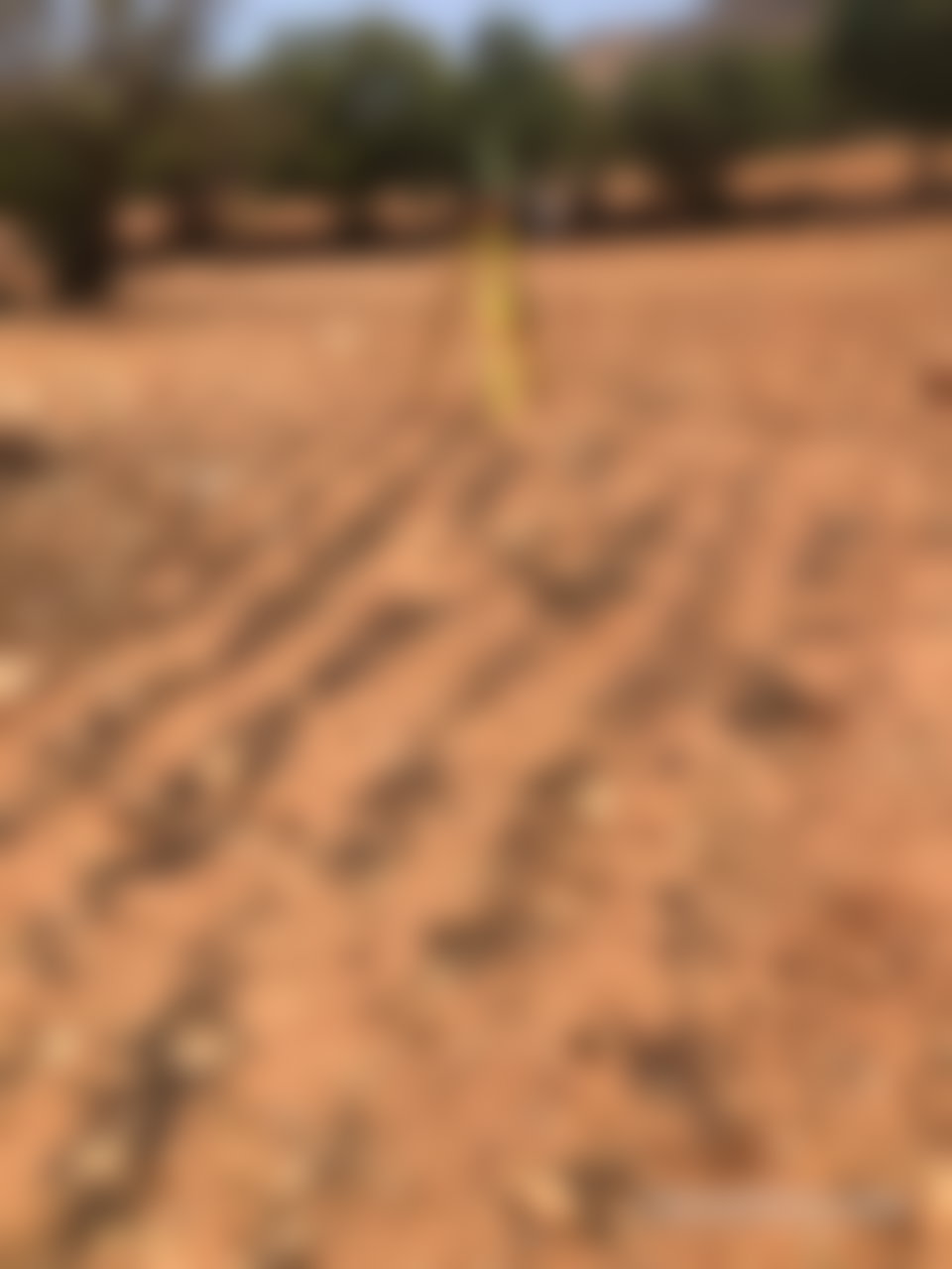 أرض فسيحة للبناء بحي محمدي في أكادير