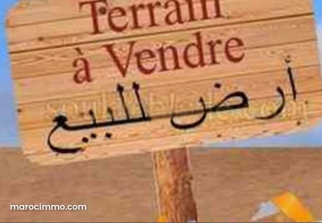 A vendre terrain a l'hivernage zone R5 29000dh m2 — Marrakech