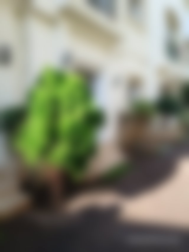 شقة بحديقة خاصة للإيجار بحي جبل كبير طنجة — 4