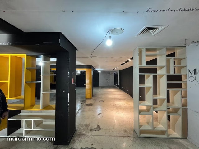 Local commercial en location en plein cœur du Bd Stendhal. Superficie 316 m² — 2