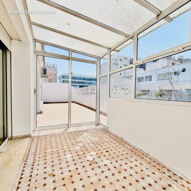 Appartement Vide avec Grande Terrasse Racine — 2