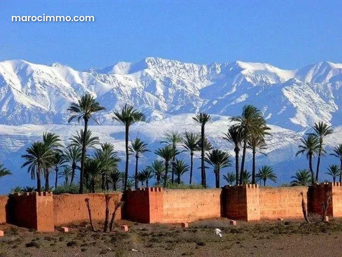 Terrain 21 000 m² avec permis 13 villas, Portes de Marrakech — Marrakech