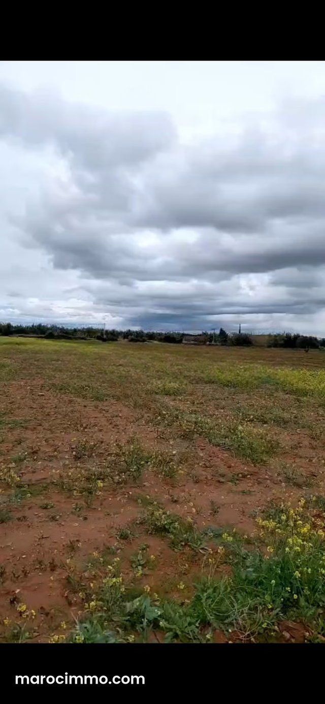 For Sale – 3,000 sqm Plot on Route de l’Ourika, Marrakech — 2