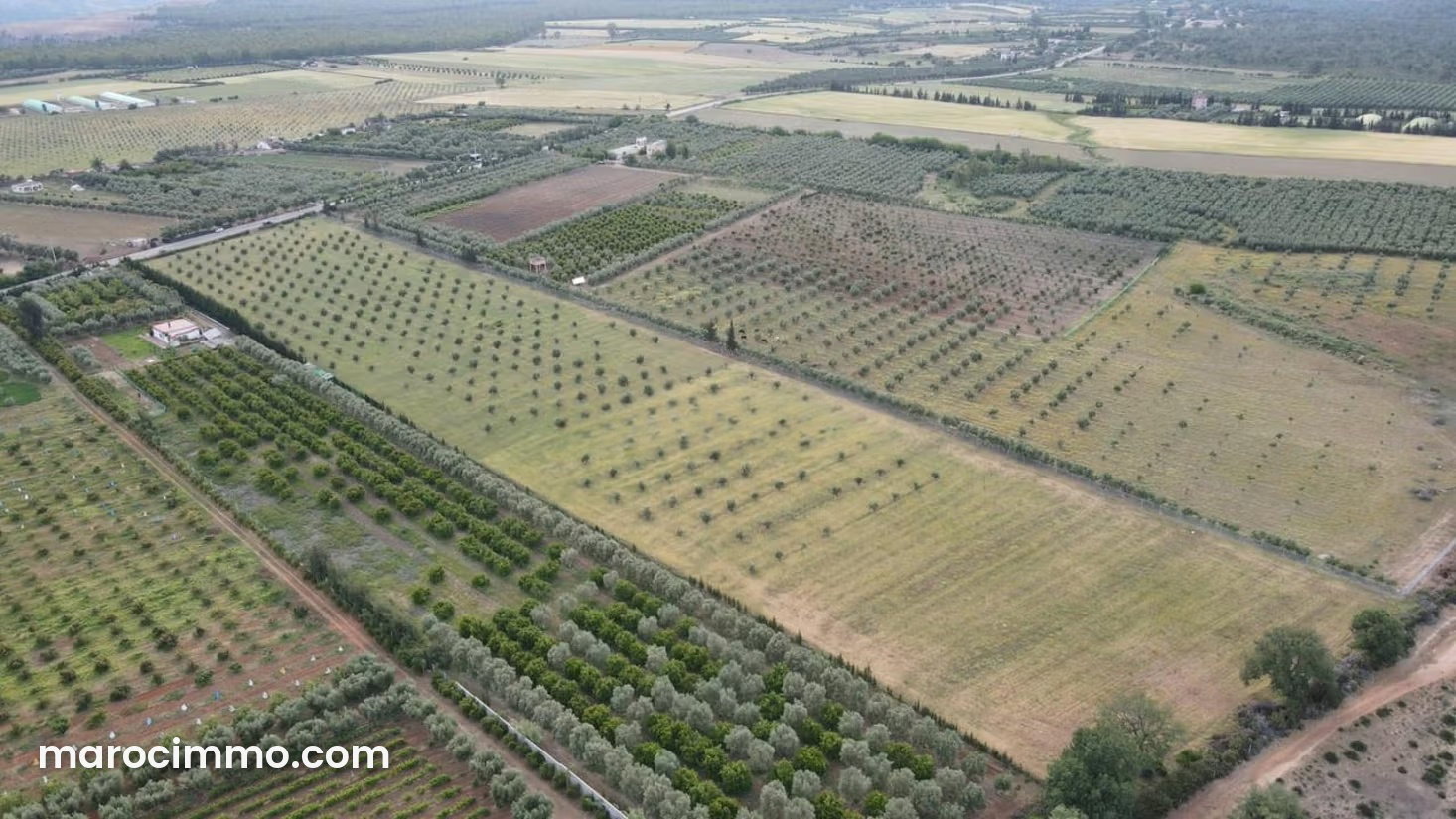 5-Hectare Farm in Rabat’s Medina, Exceptional Agricultural Potential — Rabat