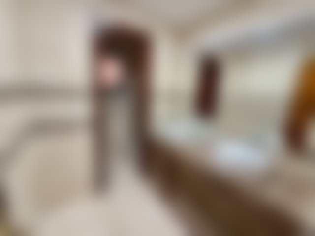 Furnished 266 m² Apartment, 3 Bedrooms, Garden and Terrace in Riyad — 4