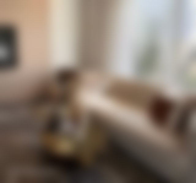 فيلا جديدة راقية للبيع في قلب بوسكورة سنتر — 3