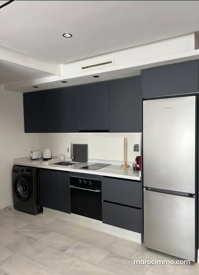 A louer jolie studio au princesse 52 m2 au 3 eme etage — 3