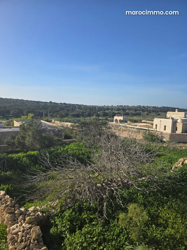 Maison à rénover en zone D4 à Ghazoua — 4