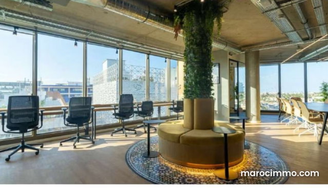 Bureau prime plug and play 500m2 sidi maarouf — 3