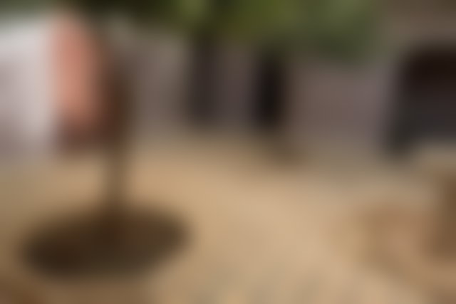 فرصة ذهبية رياض للترميم بحي بالموريي في مراكش — 4