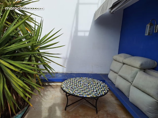 Terrasse vue parc de la ligue arabe — 2