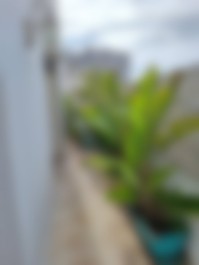 Appartement meublé avec terrasse à louer au Palmier Casablanca — 3