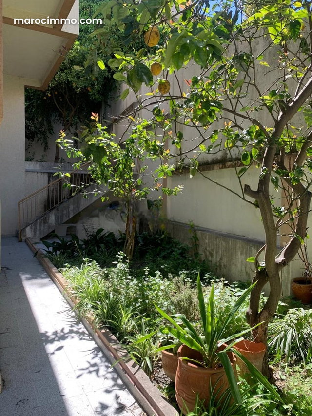 Villa à vendre – Sidi Amar — 4