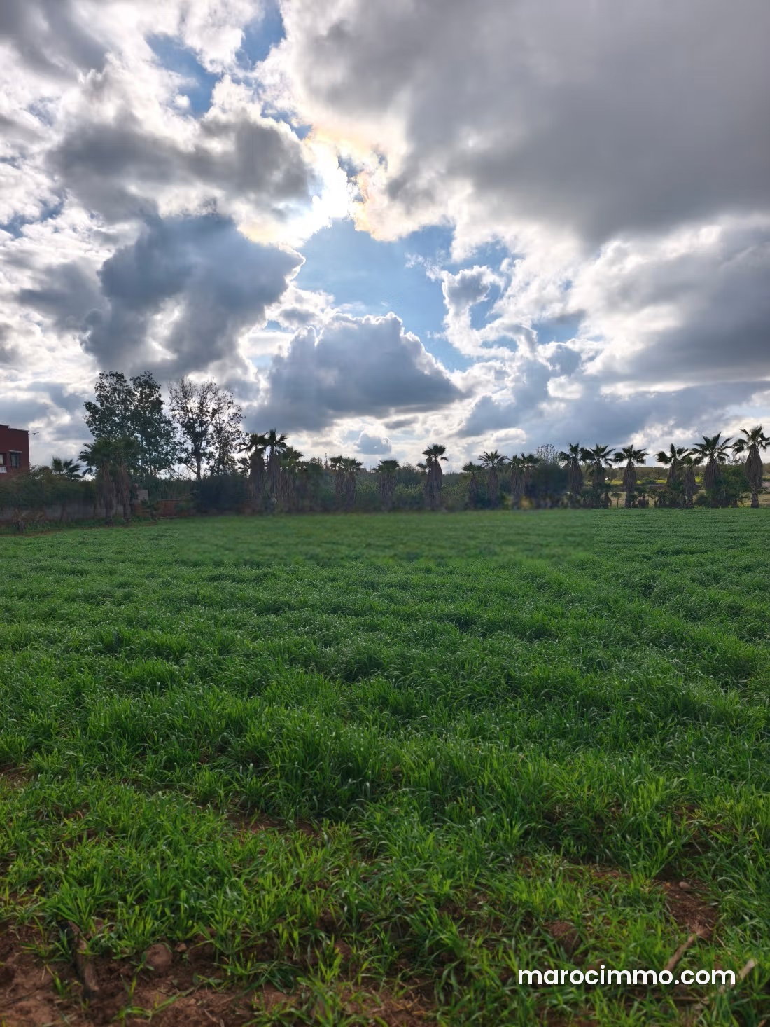 7,500 m² Plot on Ourika Road, Marrakech, Views and Tranquility — Marrakesh