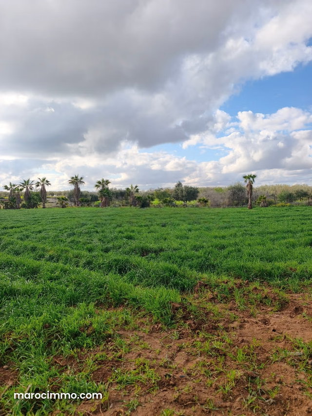 Vente terrain à Route de l'Ourika. Surface de 7500 m² — 4