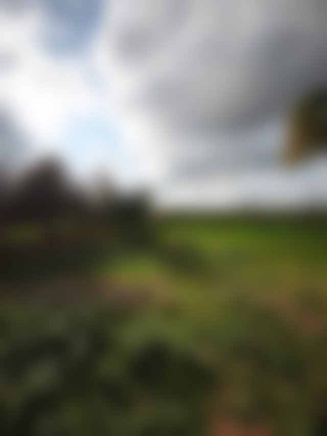 أرض فسيحة للبيع بطريق أوريكا مراكش — 2