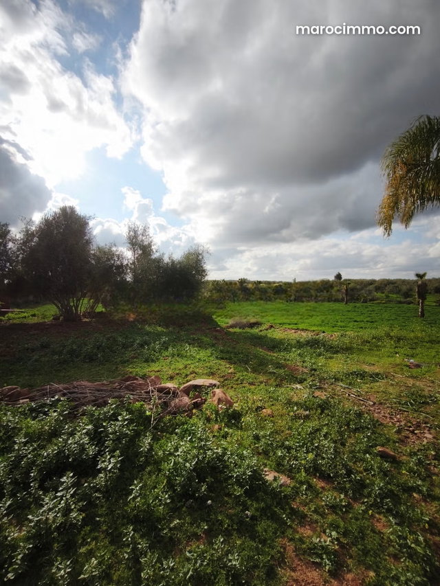 Vente terrain à Route de l'Ourika. Surface de 7500 m² — 2