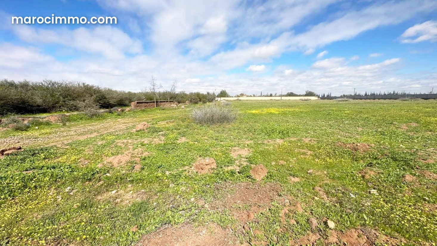 Terrain 10 067 m² Route d'Ourika, Marrakech, secteur SD1 — Marrakech