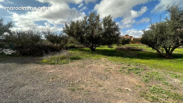 Titled Land Plots – Ourika Road — 2