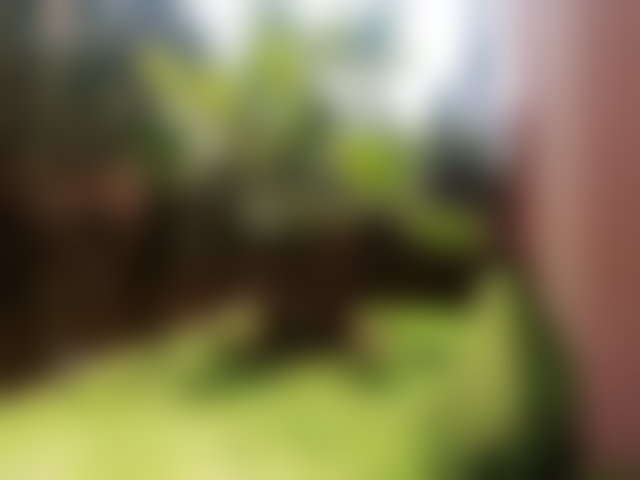 400 sqm House with Swimming Pool, Ourika Road, Marrakech — 2