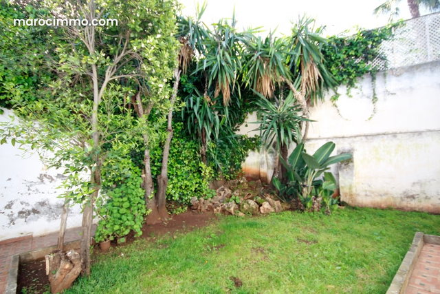 Premium oasis villa commerciale location — 3
