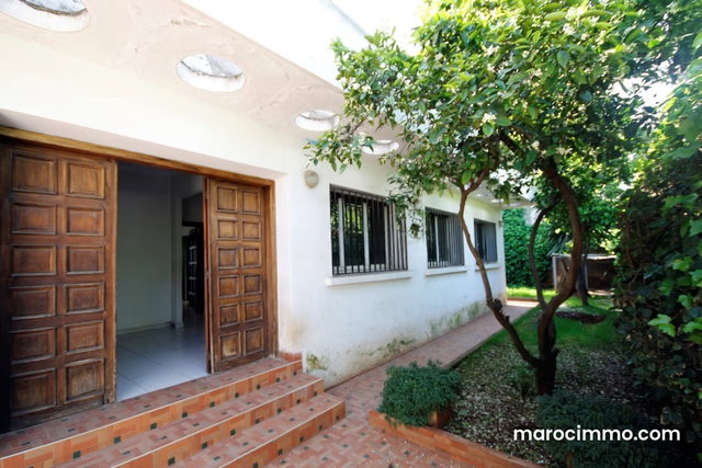 Premium oasis villa commerciale location — 2
