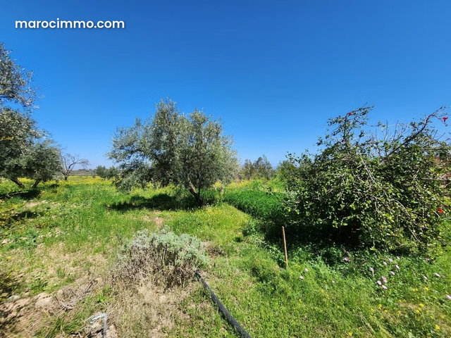 Ferme à vendre à Marrakech – 12 500 m² route ourika — 4