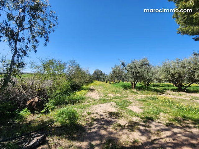 Ferme à vendre à Marrakech – 12 500 m² route ourika — 3