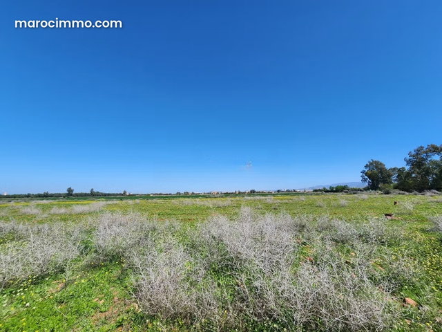 Terrain Melkia à vendre – 25 000 m² – Route d’Ourika situé entre ourika et tahnnoute — 2