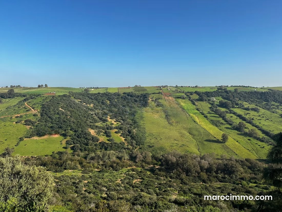 4,936 m² Plot with Valley Views, Souissi Mountain View, Rabat — Rabat