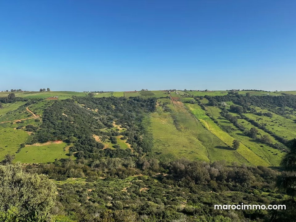 Terrain à vendre Souissi Rabat – 4 936 m² – Vue vallée – Terrain villa Rabat