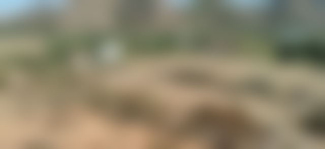 Terrain 5 hectares Route de Ceuta, Tétouan, vue et potentiel rare — Tétouan