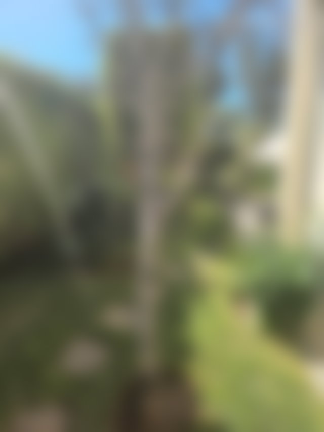 Villa 400 m² avec piscine et jardin, Aïn Diab, Casablanca — 5