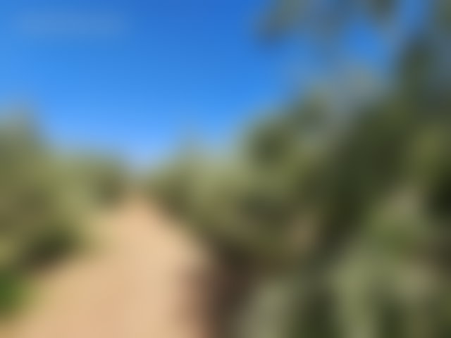 مزرعة واسعة للبيع بطريق أوريكا في مراكش — 4