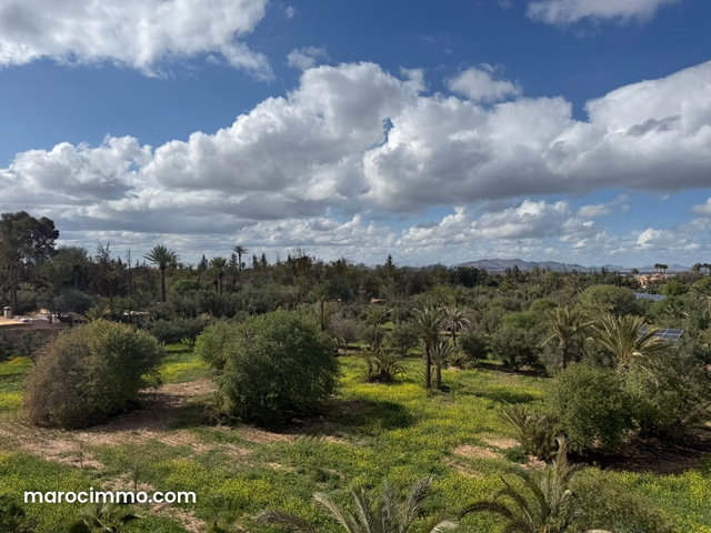 Vente de terrain à Marrakech Superficie 20 000 m² 2 titres — 4