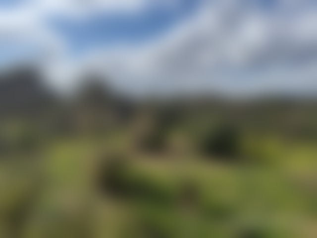 أرض واسعة للبيع بأملكيس مراكش — 3