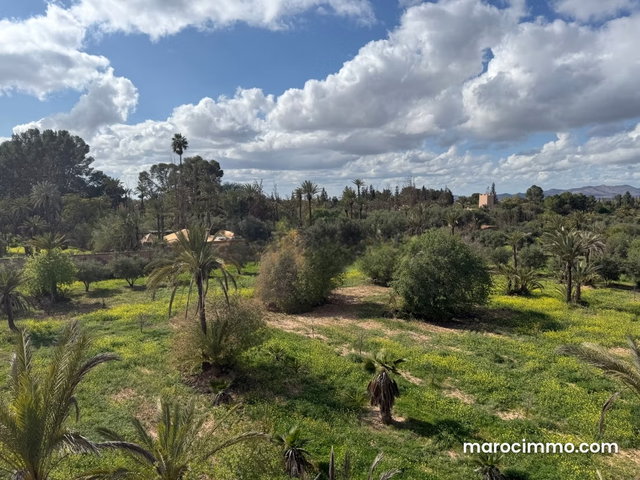 Vente de terrain à Marrakech Superficie 20 000 m² 2 titres — 3
