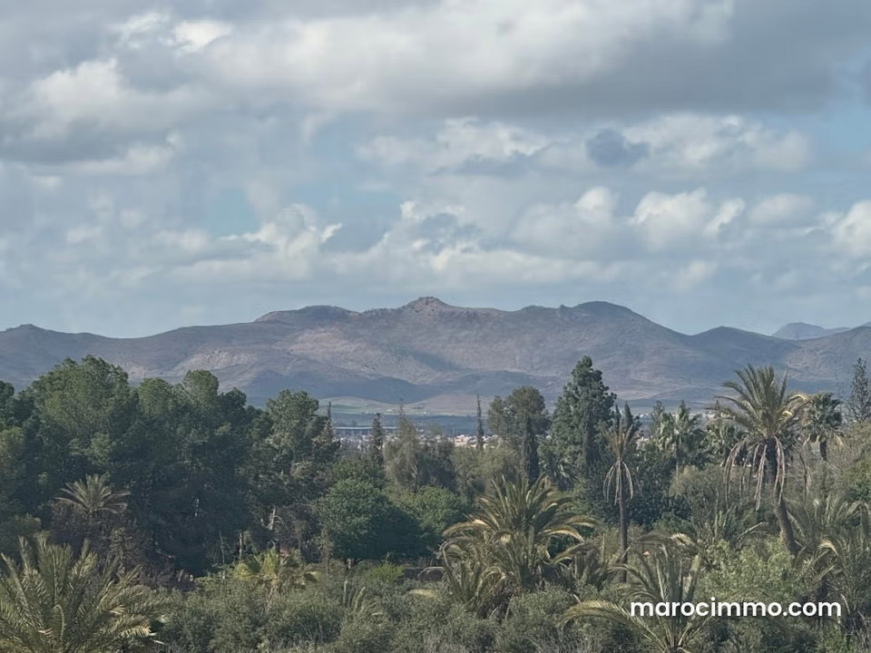 Vente de terrain à Marrakech Superficie 20 000 m² 2 titres