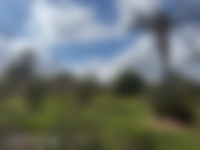 أرض واسعة للبيع بأملكيس مراكش — 2