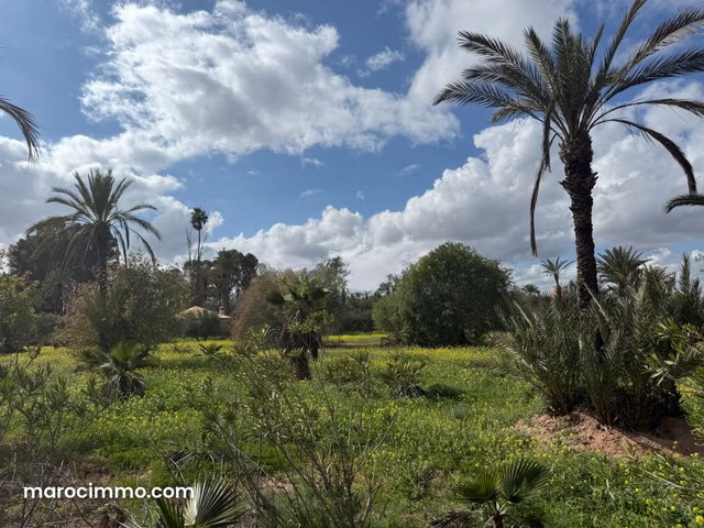 Vente de terrain à Marrakech Superficie 20 000 m² 2 titres — 2