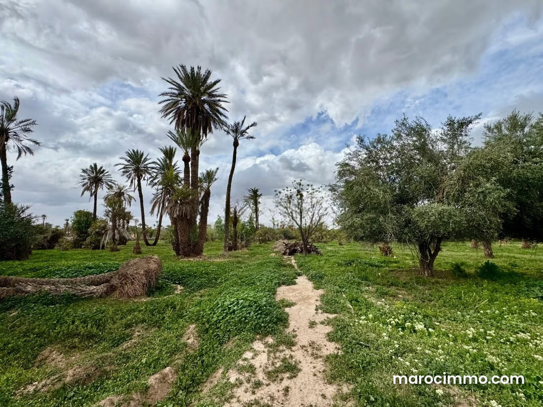 Terrain de 3,79 ha arboré, Palmeraie, Marrakech — Marrakech