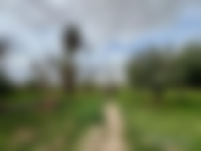 Terrain de 3,79 ha arboré, Palmeraie, Marrakech — Marrakech