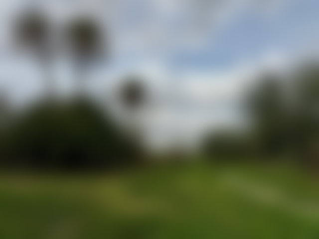 أرض خضراء مميزة للبيع ببالمراي مراكش — 3