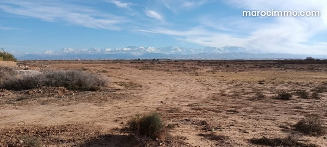 Vente un hectare titré km 19 route amezmiz — 2