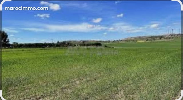 Benslimane à vendre beau terrain de 2 hectares titré — Benslimane