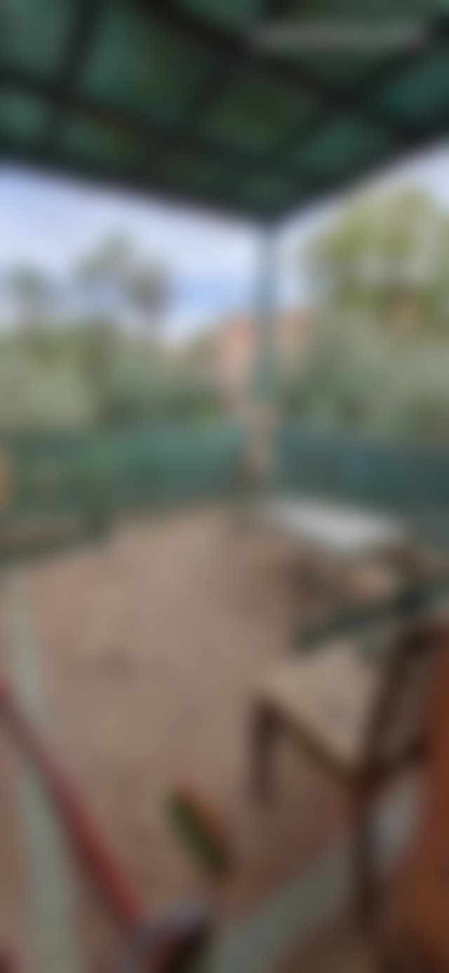 Appartement 3 chambres meublé avec piscine, Palmeraie Marrakech — 2