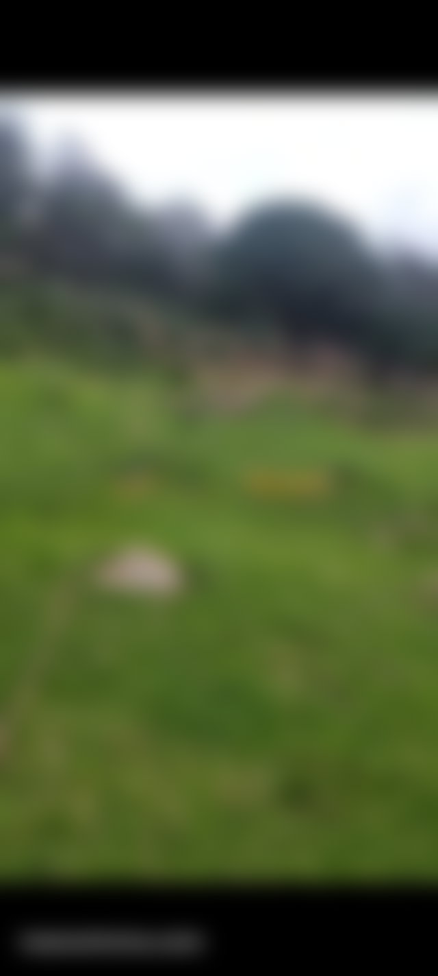 Sea and Mountain View Land in Mediouna, Tangier — 3