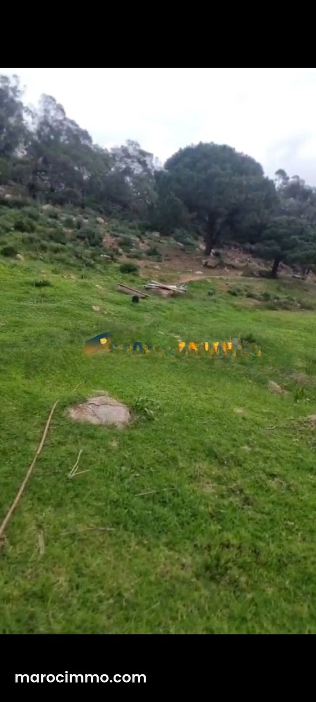 Land, 4827 m² in Médionna, Tangier — 3