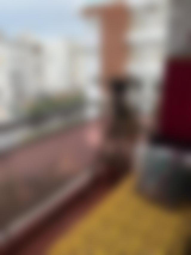 Appartement 145 m² meublé à louer à Casablanca Finance City — 5